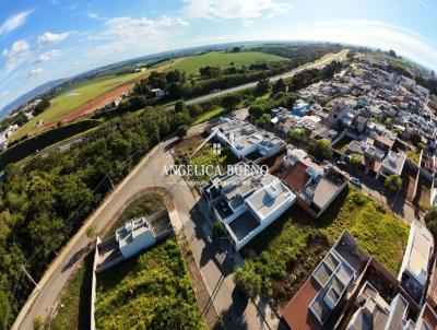 imagem-miniatura